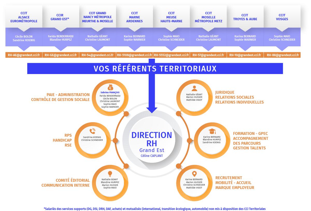 INFOGRAPHIE-ORGANISATION-RH_01-2025_0.png 