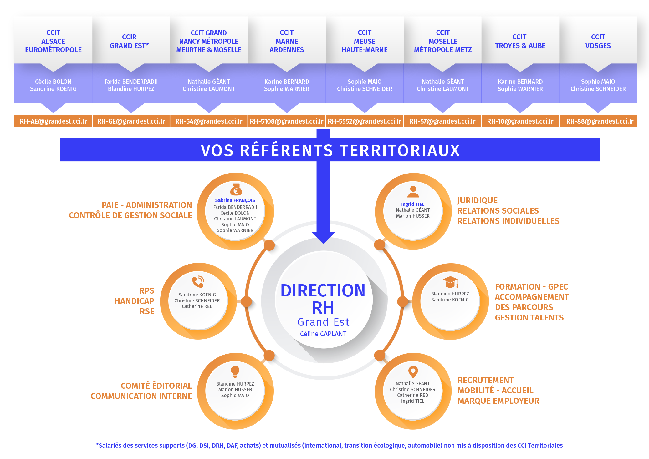 INFOGRAPHIE-ORGANISATION-RH_01-2025