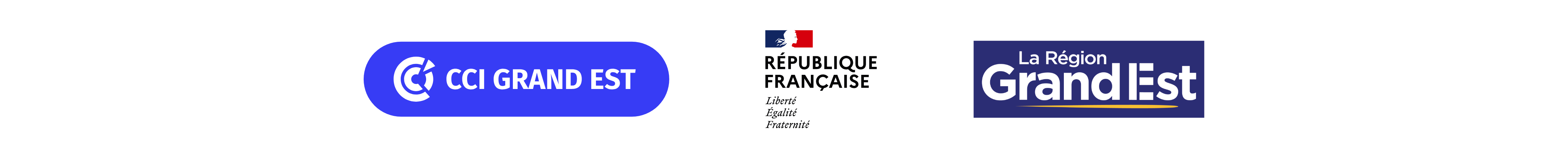 logos cci grand est