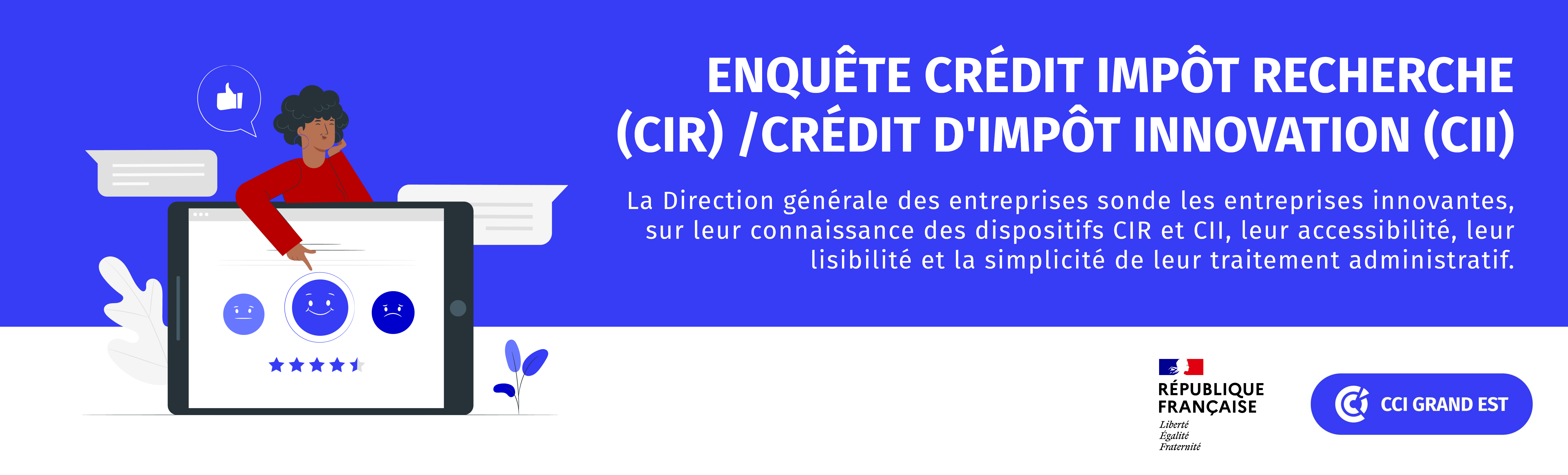 Questionnaire de la DGE sur le CIR et le CII_0.png 