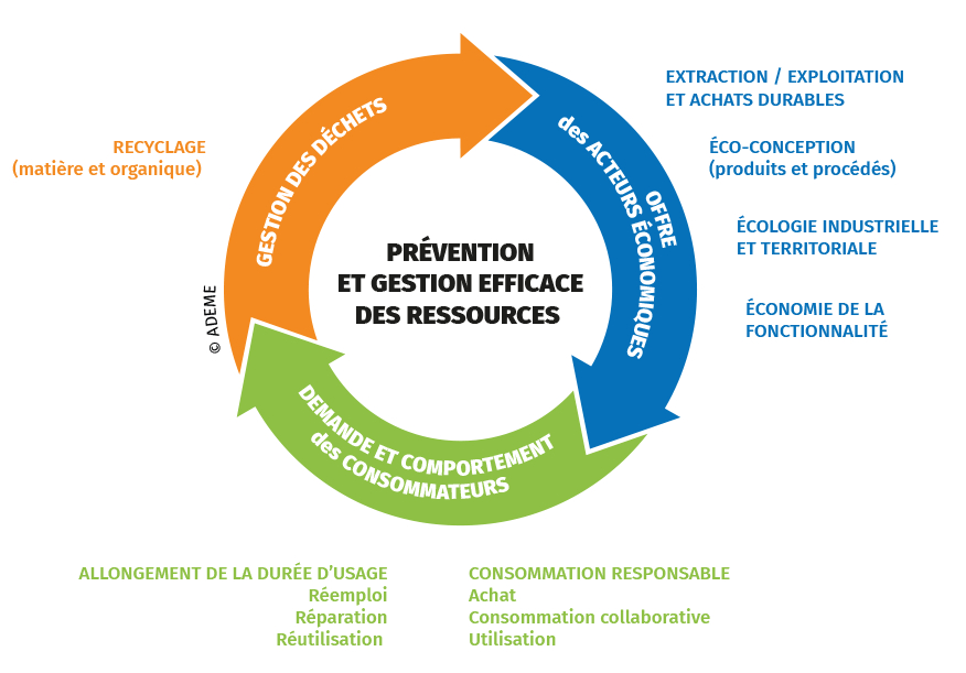 Graphique circulaire Economie circulaire