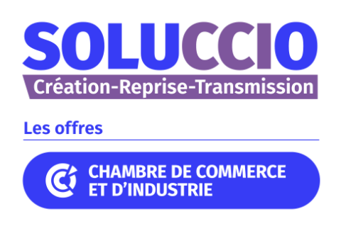 Logo soluccio création reprise transmission