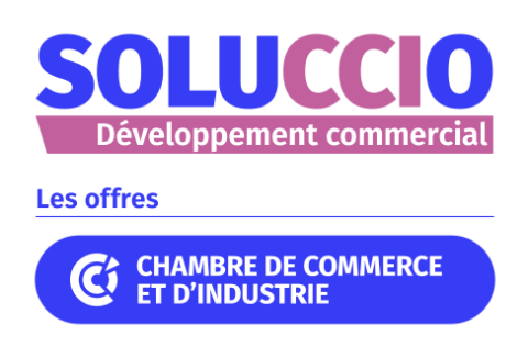 Logo soluccio développement commercial