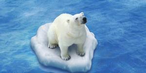 Visuel manager résilience climatique