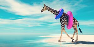 Girafe climat