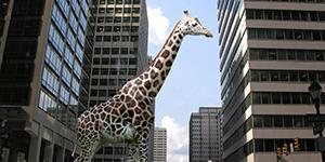 Girafe