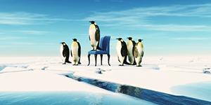 Pingouins
